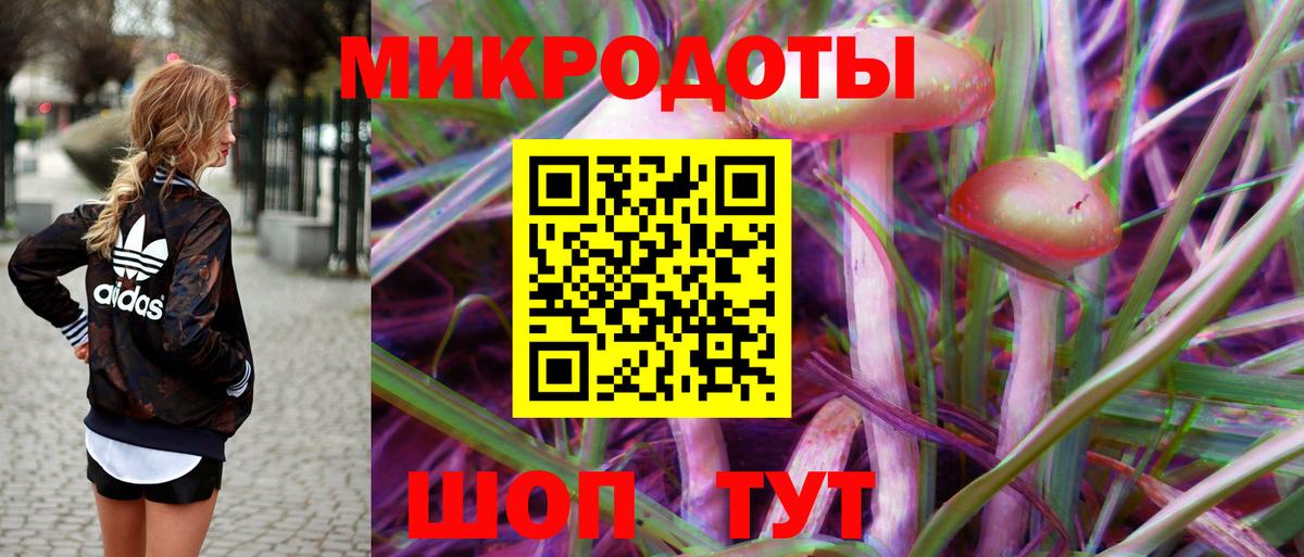 Галлюциногенные грибы Cubensis Балашов