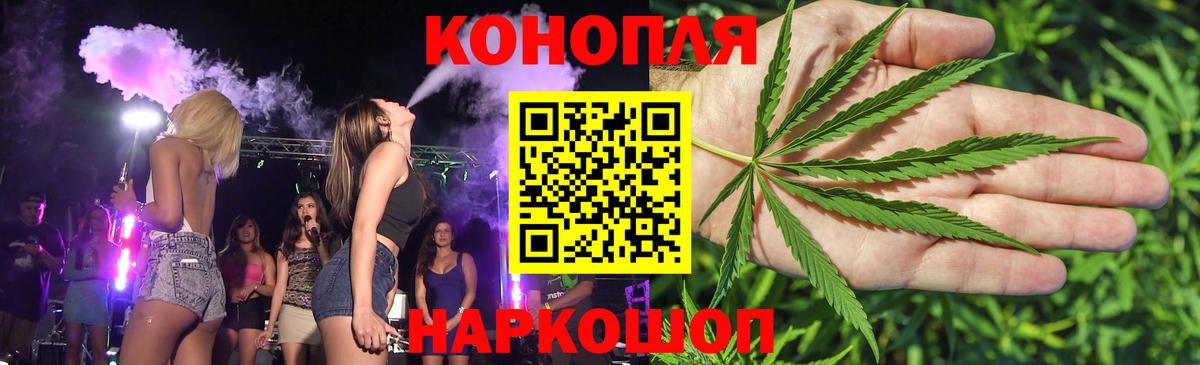 Каннабис планчик Балашов